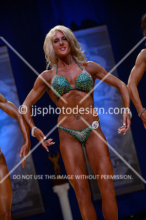 041815_Fig_Nov_B-47