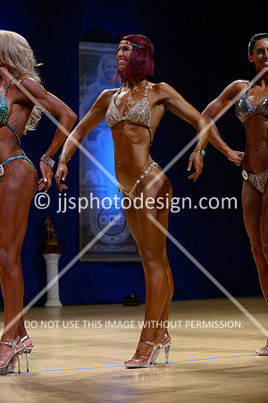 041815_Fig_Open_C-29