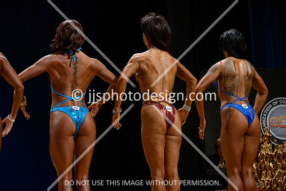 041815_Fig_Open_C-76