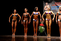 Figure Open Class 2