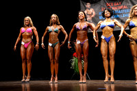 Figure Open Class 4