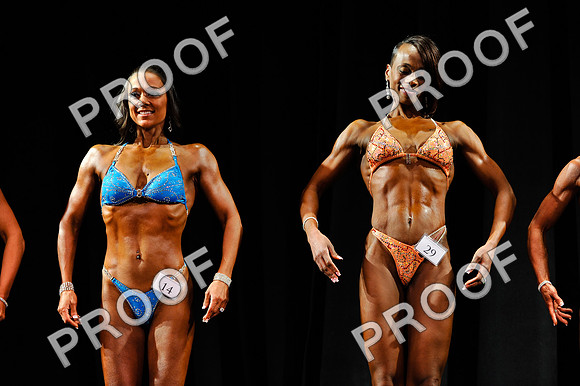 3.11.12_Fig_Debut-61