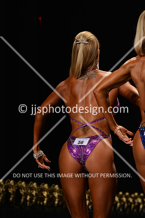 072515_Fig_Nov_B-51