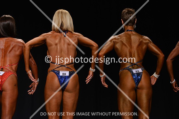 072515_Fig_Nov_B-62
