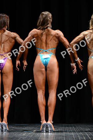 031013_Fig_Open-34