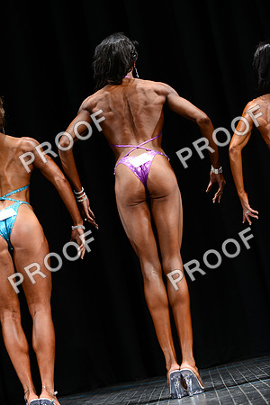 031013_Fig_Debut-61
