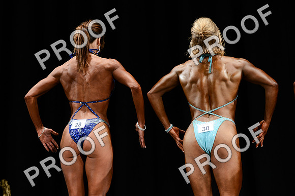031013_Fig_Debut-68