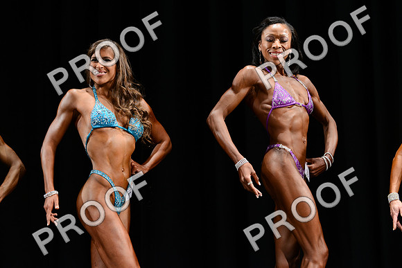 031013_Fig_Debut-74