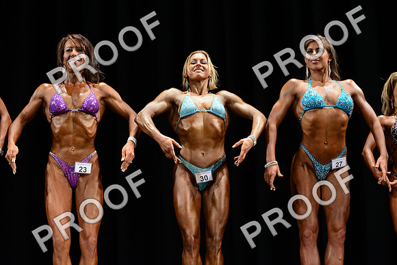 031013_Fig_Open-102