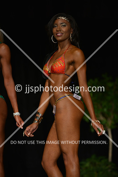 103115_BikNovTall-092