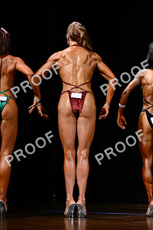 062213_Fig_Nov-26