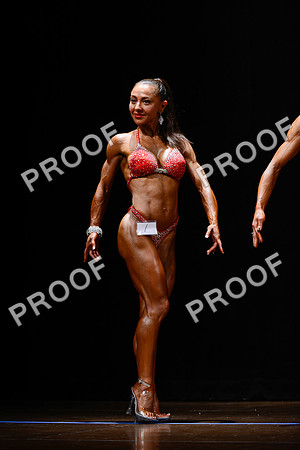 062213_Fig_Pro-51