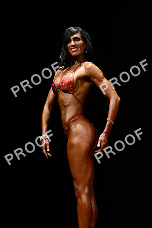 062213_Fig_Pro-63