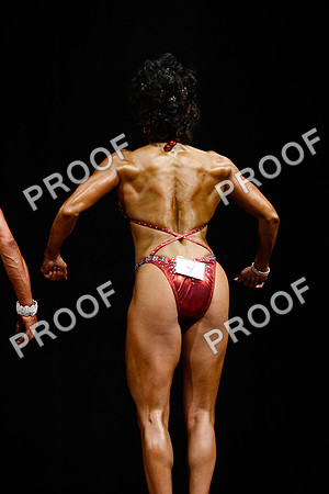 062213_Fig_Pro-93
