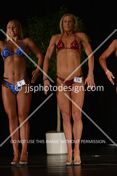 103115_FigNovTall-008
