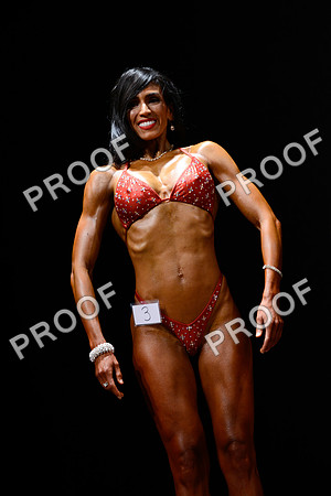 062213_Fig_Pro-76