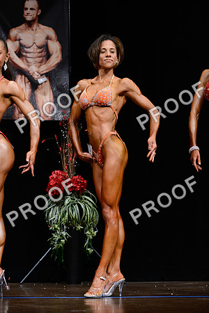 062213_Fig_Pro-17