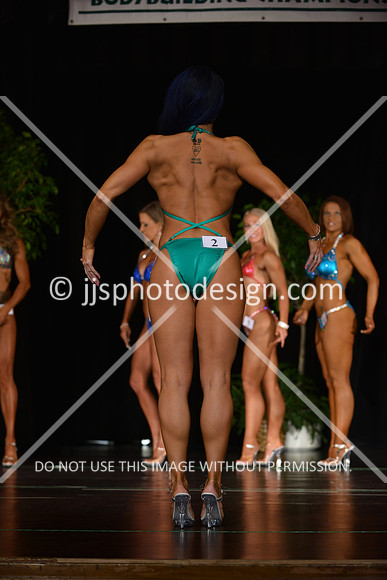 103115_FigNovShort-064