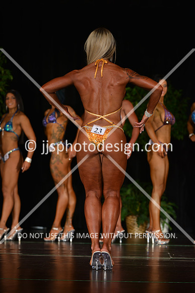 103115_FigOpen-128