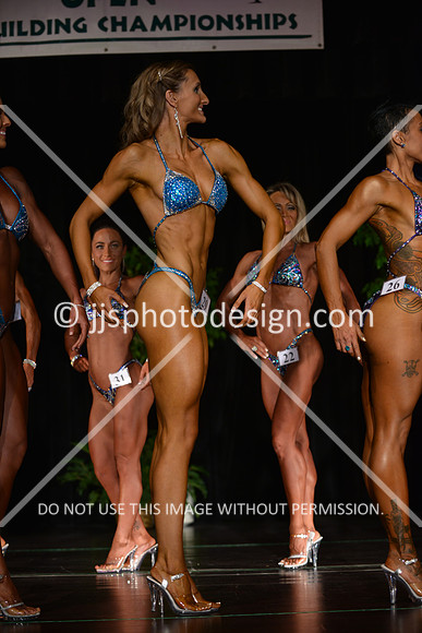 103115_FigOpen-088