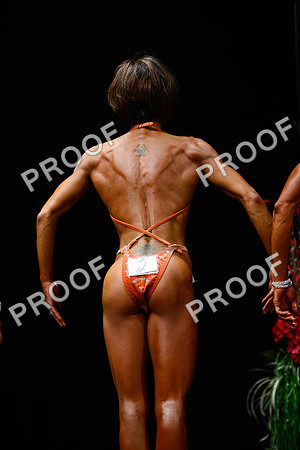 062213_Fig_Pro-46
