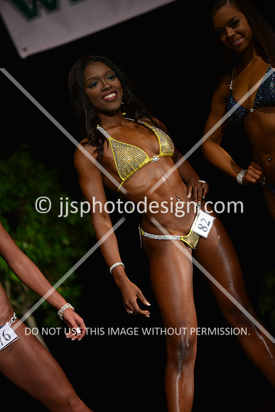 103115_BikNovShort-092
