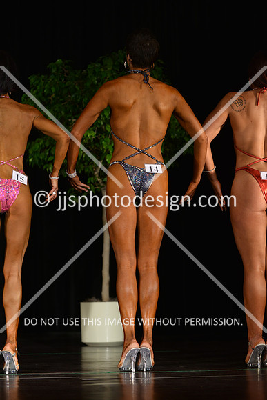 103115_FigNovTall-022
