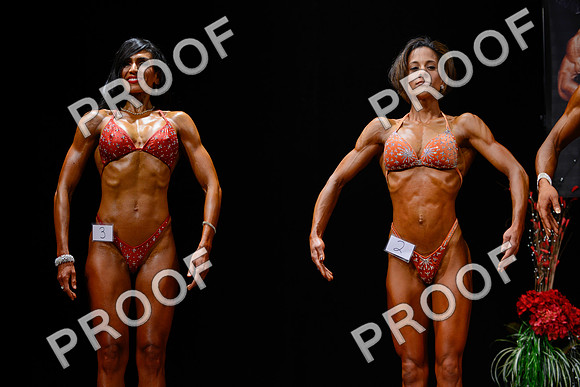 062213_Fig_Pro-62