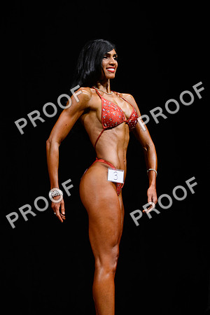 062213_Fig_Pro-29