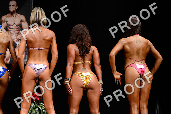 062213_Bik_Nov_2-63