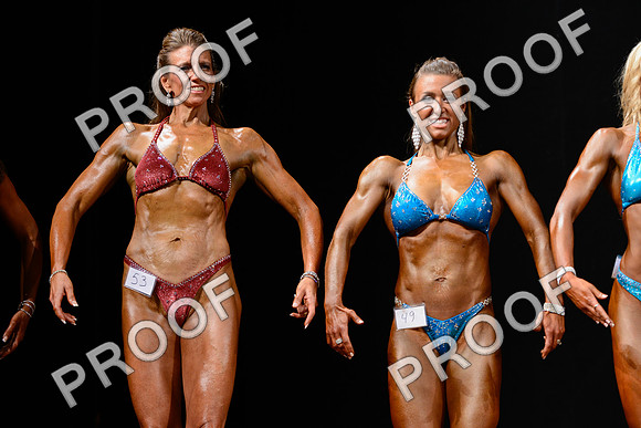 062213_Fig_Nov-49