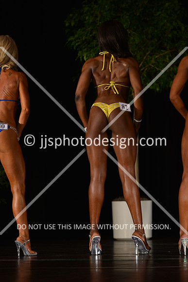 103115_BikNovShort-026