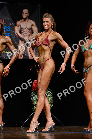 062213_Fig_Mas_40-19