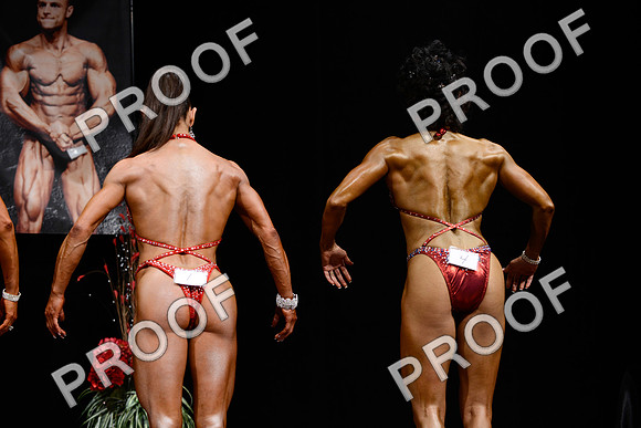 062213_Fig_Pro-98