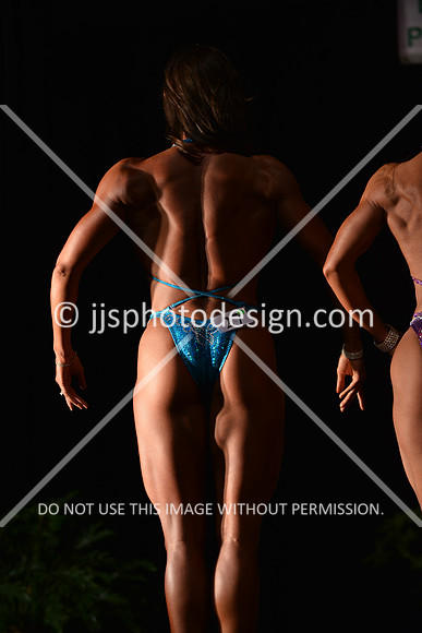 103115_FigOpen-063