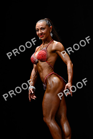 062213_Fig_Pro-39