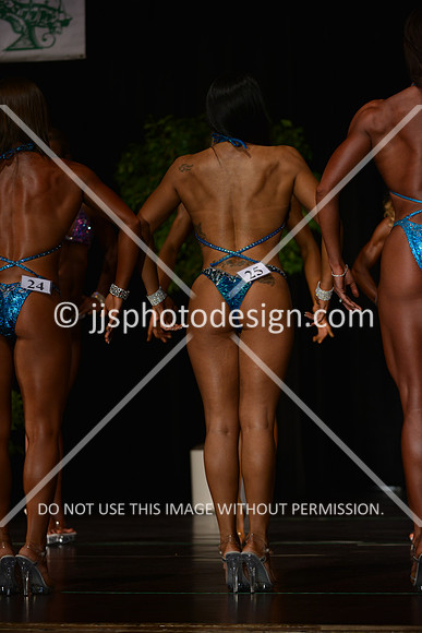 103115_FigOpen-081
