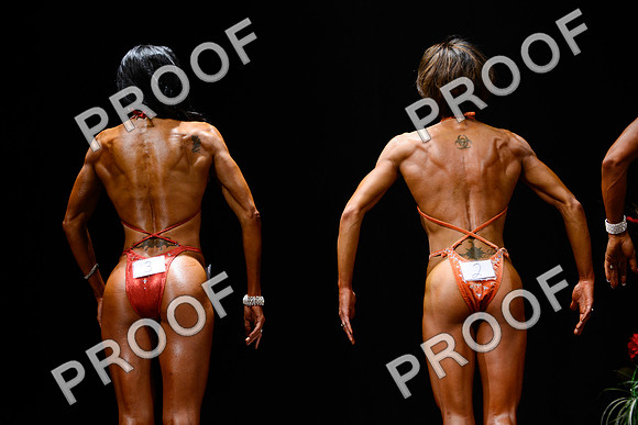 062213_Fig_Pro-67