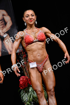 062213_Fig_Pro-79