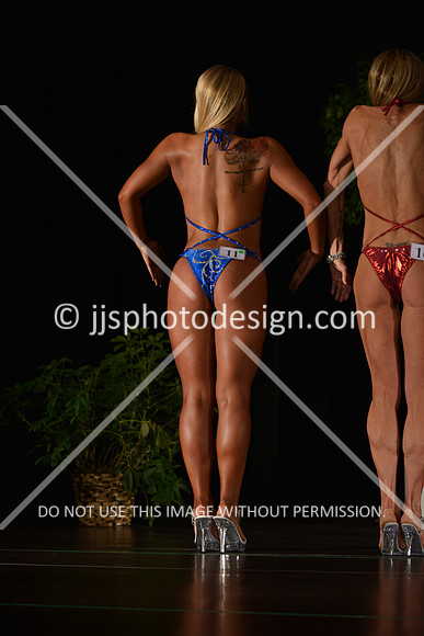 103115_FigNovTall-016