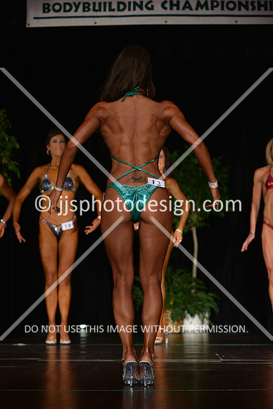 103115_FigNovTall-043