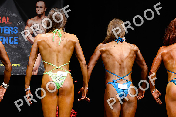 062213_Fig_Nov-78