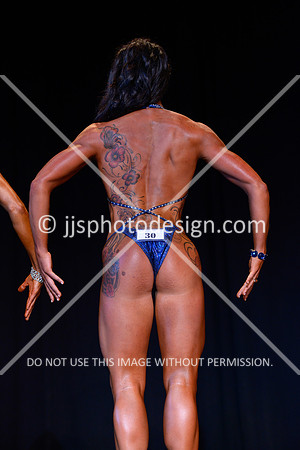 072013_Fig_Nov_B-16