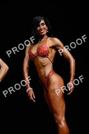 062213_Fig_Pro-44