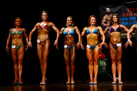 Figure Novice