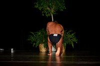 103115_Competitor53-1