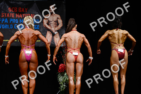 062213_Fig_Pro-87
