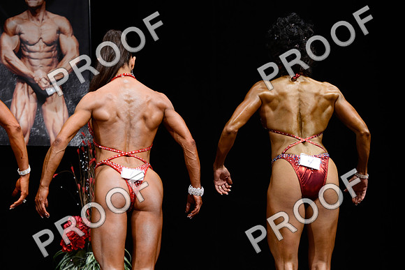 062213_Fig_Pro-71