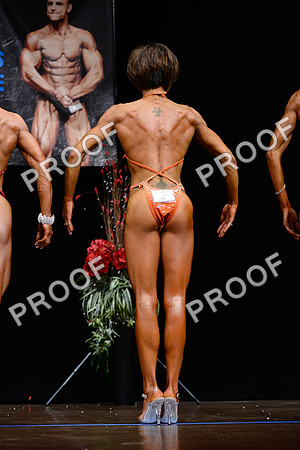062213_Fig_Pro-23