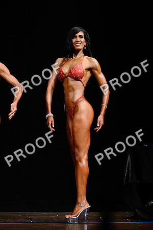 062213_Fig_Pro-18